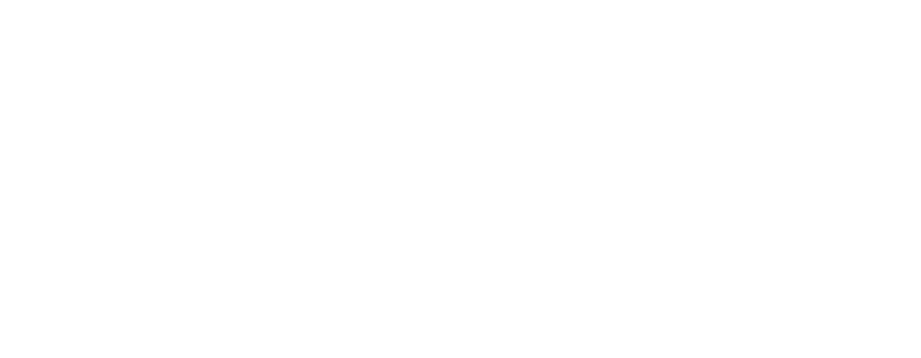 MVGG – MetaVision Global Group